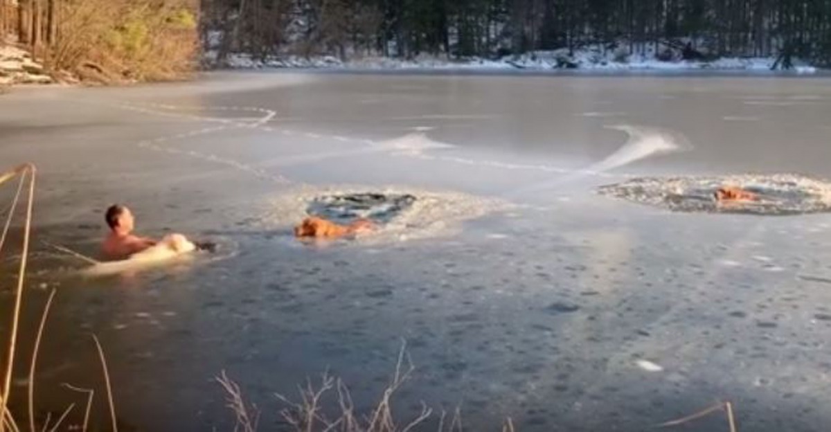 兩隻狗狗突然掉進冰湖，男子看見後不話不說跳湖拯救。（Timofey Yuriev fb）