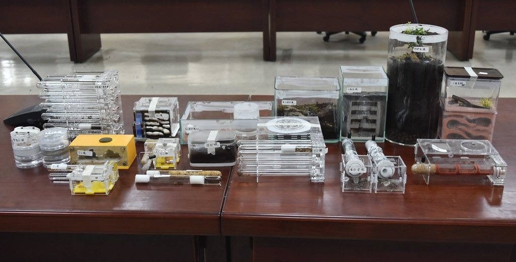 於民眾住處搜索查獲之蟻巢，皆屬違規輸入。圖片來源：防檢局提供