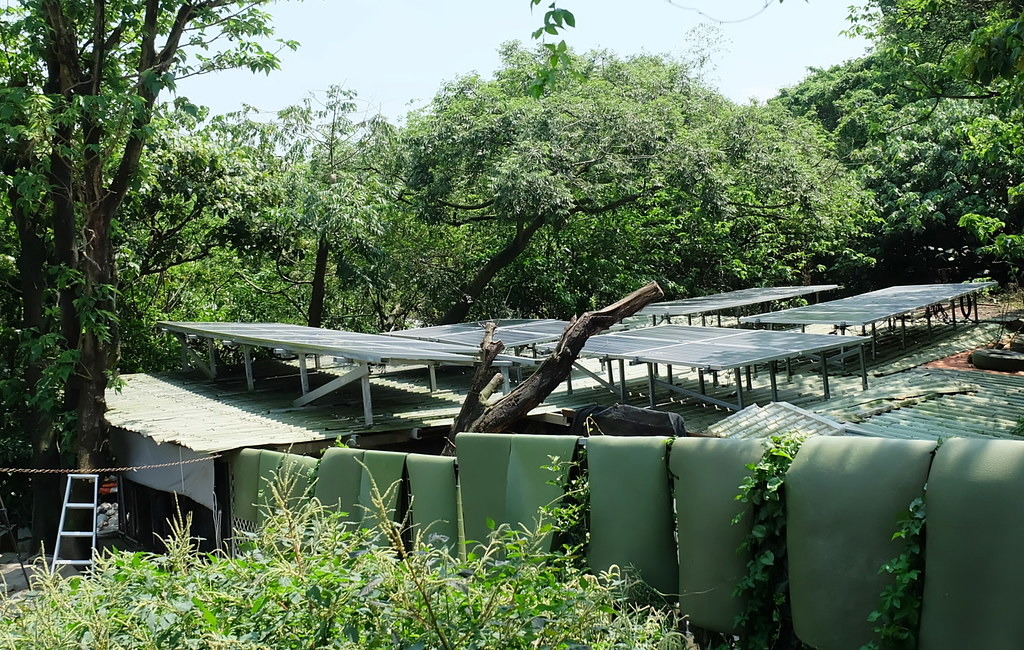 在光電業者、廠商、民間團體協助下, 台灣首座百分百綠能浪浪之家落成。攝影:陳文姿