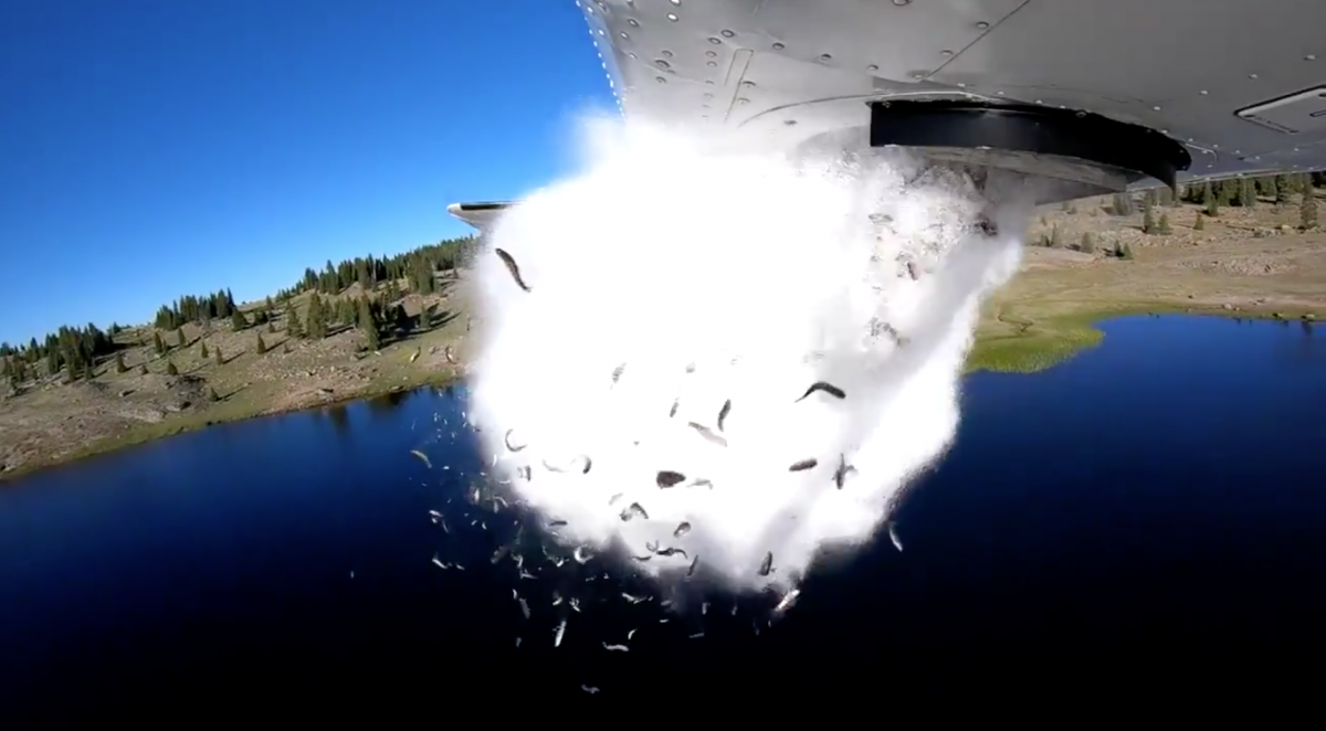 單看這張圖片,你看得出來這在做什麼嗎? Photo: Utah DWR