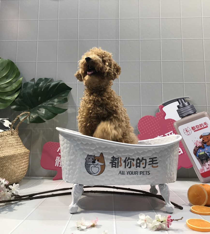 在寵物的皮毛照護上，約有67.3%飼主是自己或家人幫毛孩洗澡。主辦單位/提供