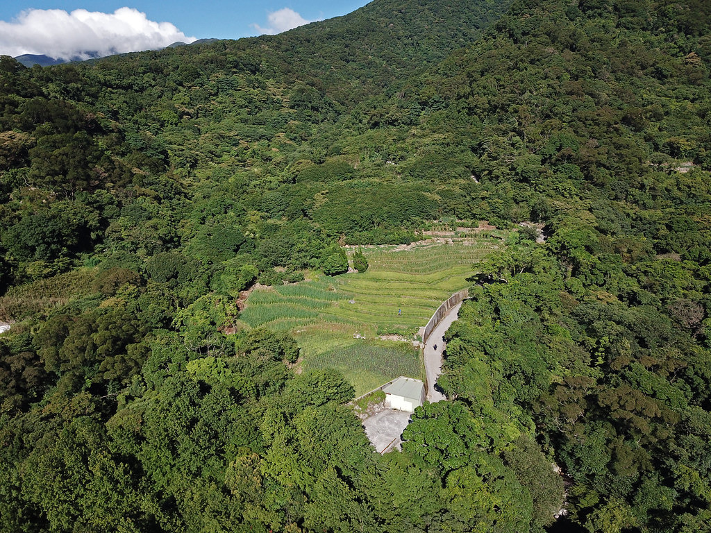 當綠網系統嵌合在人為區域時，以友善、可持續的利用方式創造緩衝區，減緩、降低人類開發利用土地直接造成的威脅。圖為林務局羅東處選定的合作點位三板橋，以友善耕作達到上述目標。圖片來源：羅東林管處