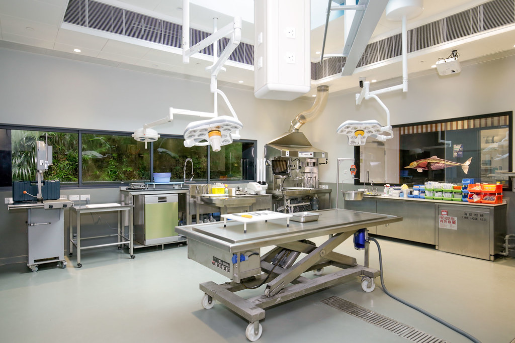 圖片來源:香港海洋公園保育基金新聞稿