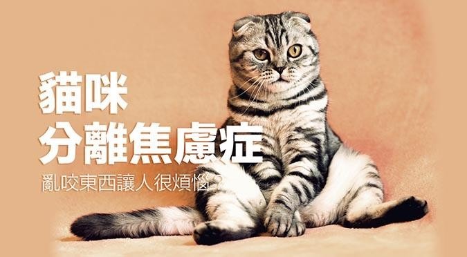 哈寵誌/提供