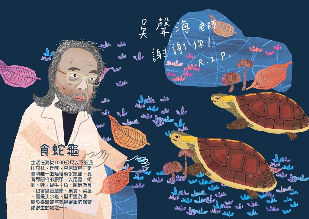Chih繪本雖與吳聲海素未謀面，但因聽聞食蛇龜推廣保育的故事而感佩不已，知道他過世，畫出這幅作品來紀念他。圖片來源：Chih繪本