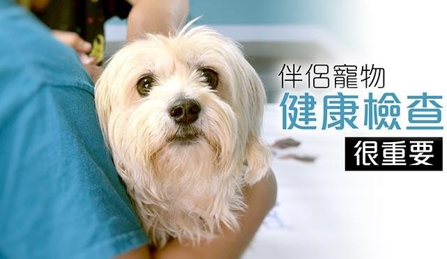 哈寵誌/提供