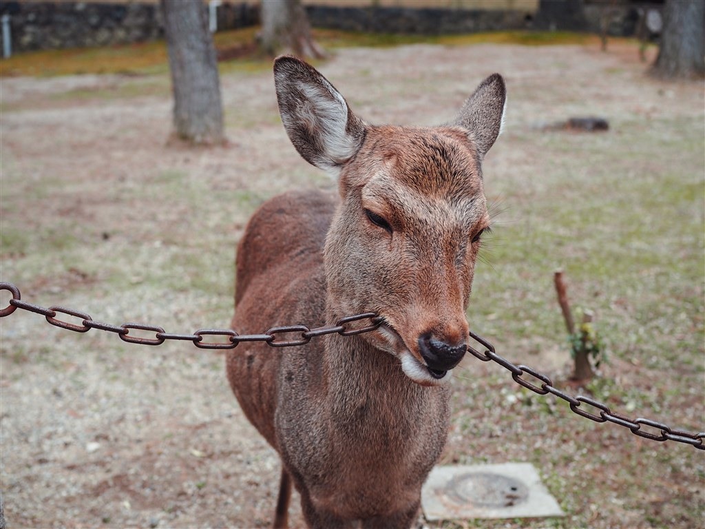 示意圖,轉載自Unsplash免費圖庫