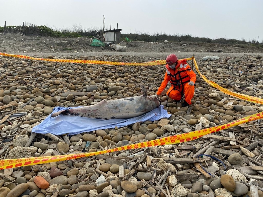 照片來源：海巡署