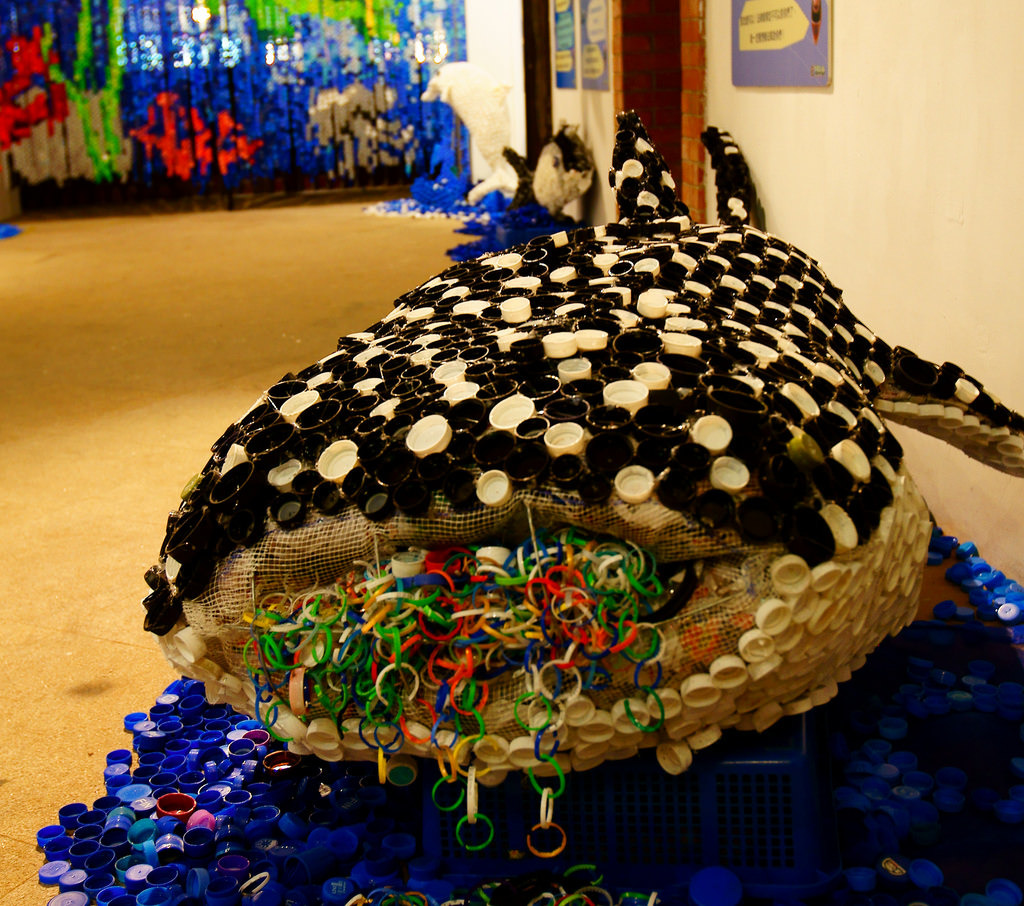 海洋中的濾食性動物如鯨魚，每日吞下的海水中含有難以消化的微塑膠。圖片來源：環境資訊中心資料照。