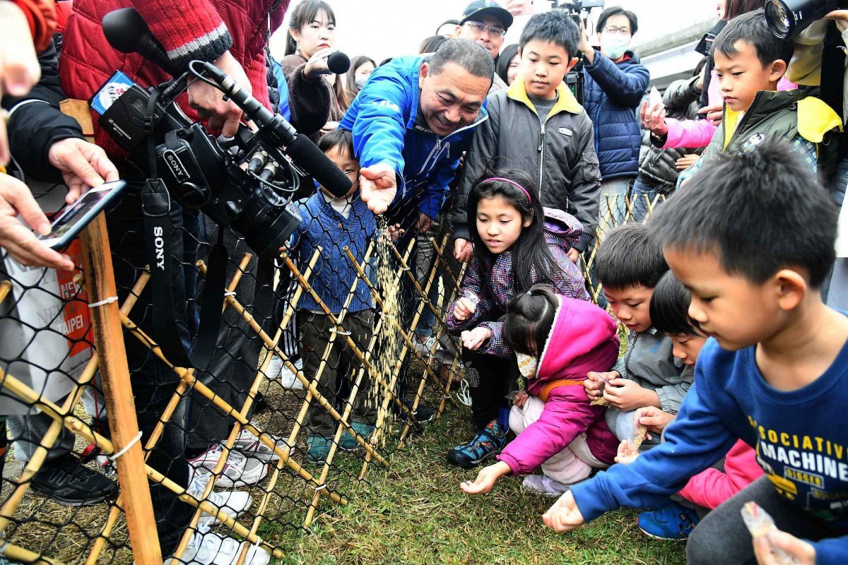 新北市長侯友宜與小朋友一同餵小鴨。新北市政府/提供