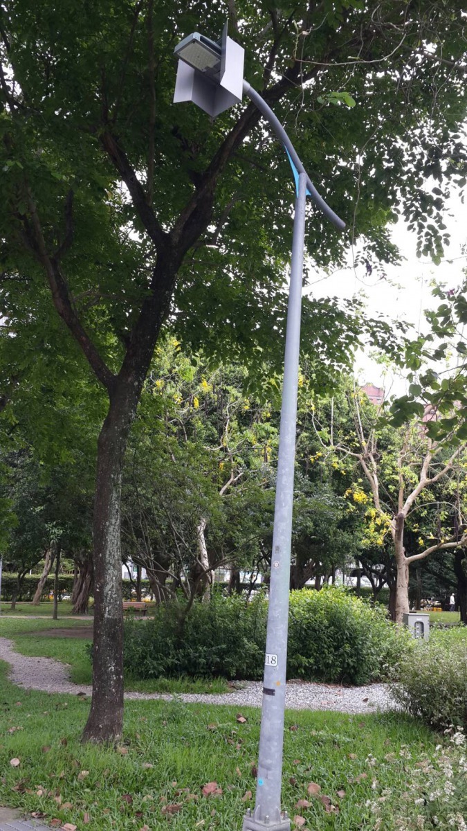 木柵公園螢火蟲區。台北市政府/提供