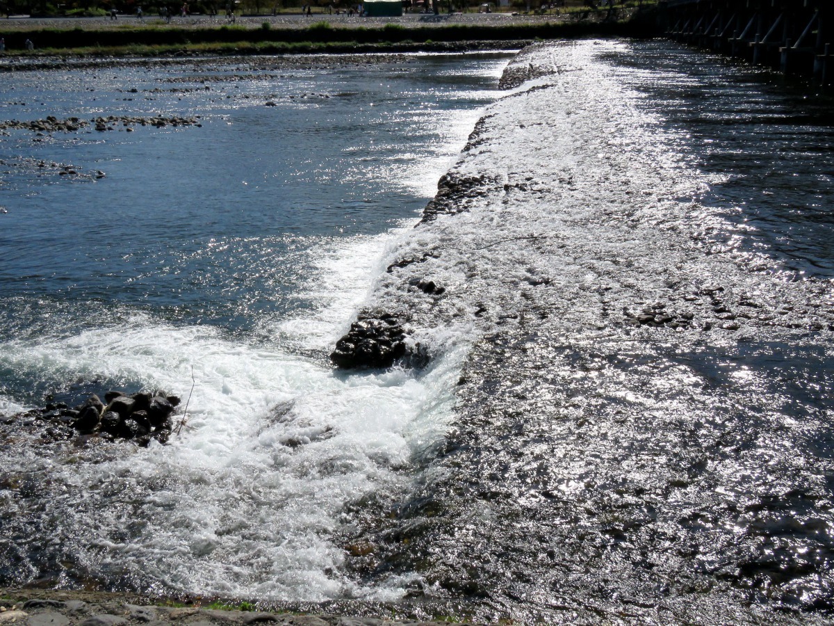 桂川水質清澈，陽光照射波光粼粼。高維奇／攝