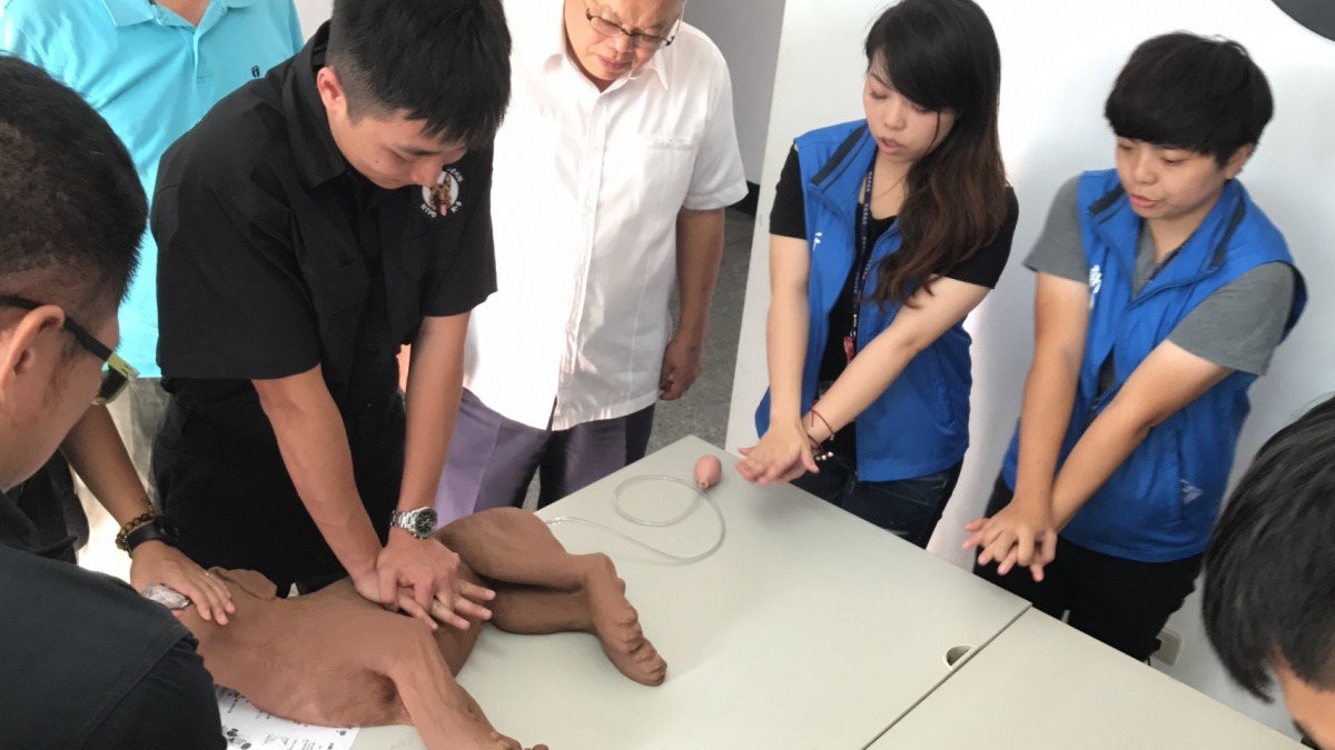 警犬隊員使用狗安娜模擬拖作犬隻CPR。新北市動保處/提供