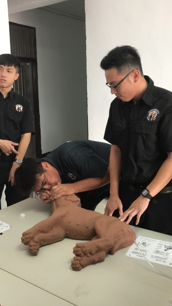 警犬隊員學習如何為犬隻口對口人工呼吸。新北市動保處/提供