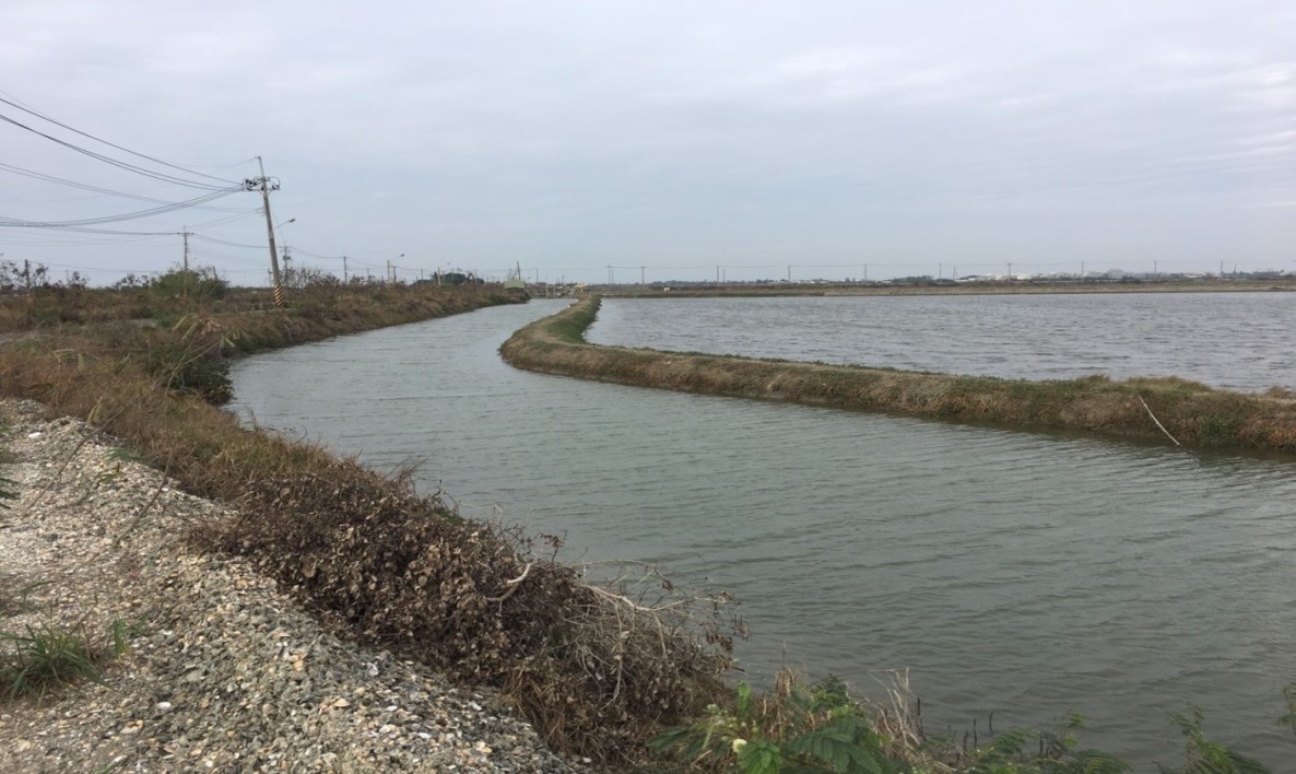 漁民應加強越冬溝之保溫。漁業署/提供