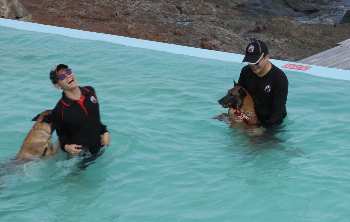 龍洞四季灣有座全臺唯一海水「寵物泳池」，是一處人跟寵物可以共同戲水的場地。雨林/翻攝