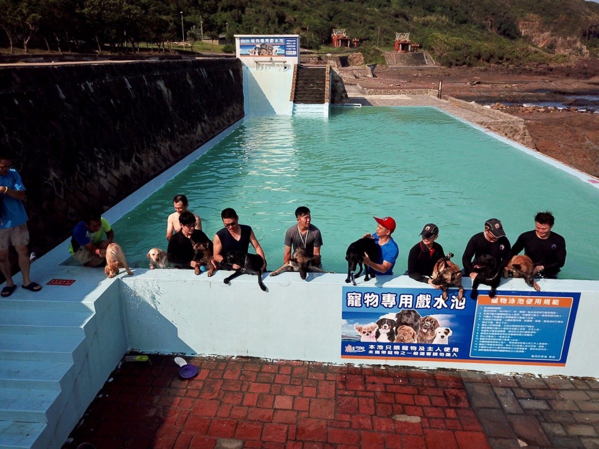 新北市警犬隊警犬輪休，首批休假的10隻警犬前往東北角國家風景區龍洞南口海洋公園度假。雨林/翻攝