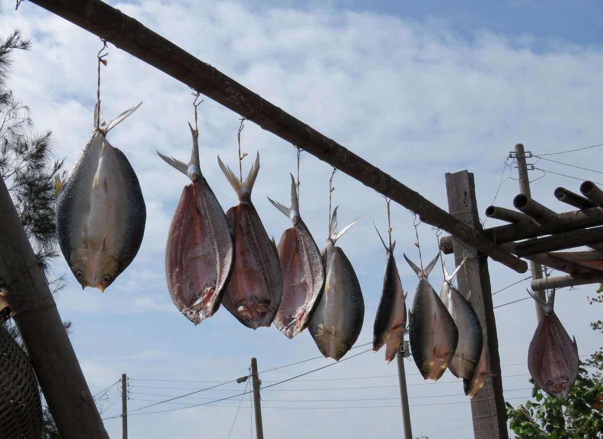 台南鱻漁產業文化活動,帶領遊客深入體驗漁鄉之美。高維奇/攝