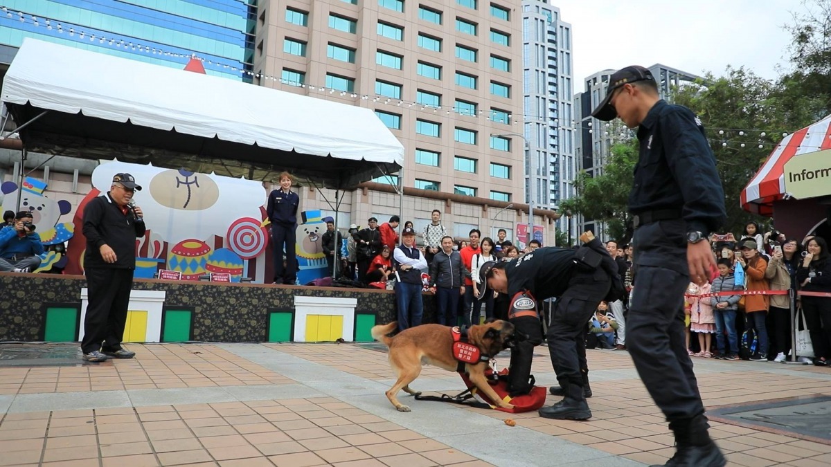 新北市警犬隊警犬在現場示範護鈔。新北市警犬隊/提供