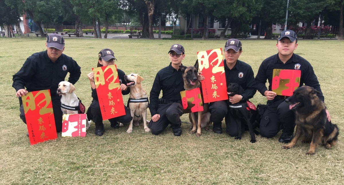 新北市超人氣警犬隊員及領犬員們祝福大家狗年行大運。新北市警犬隊/提供