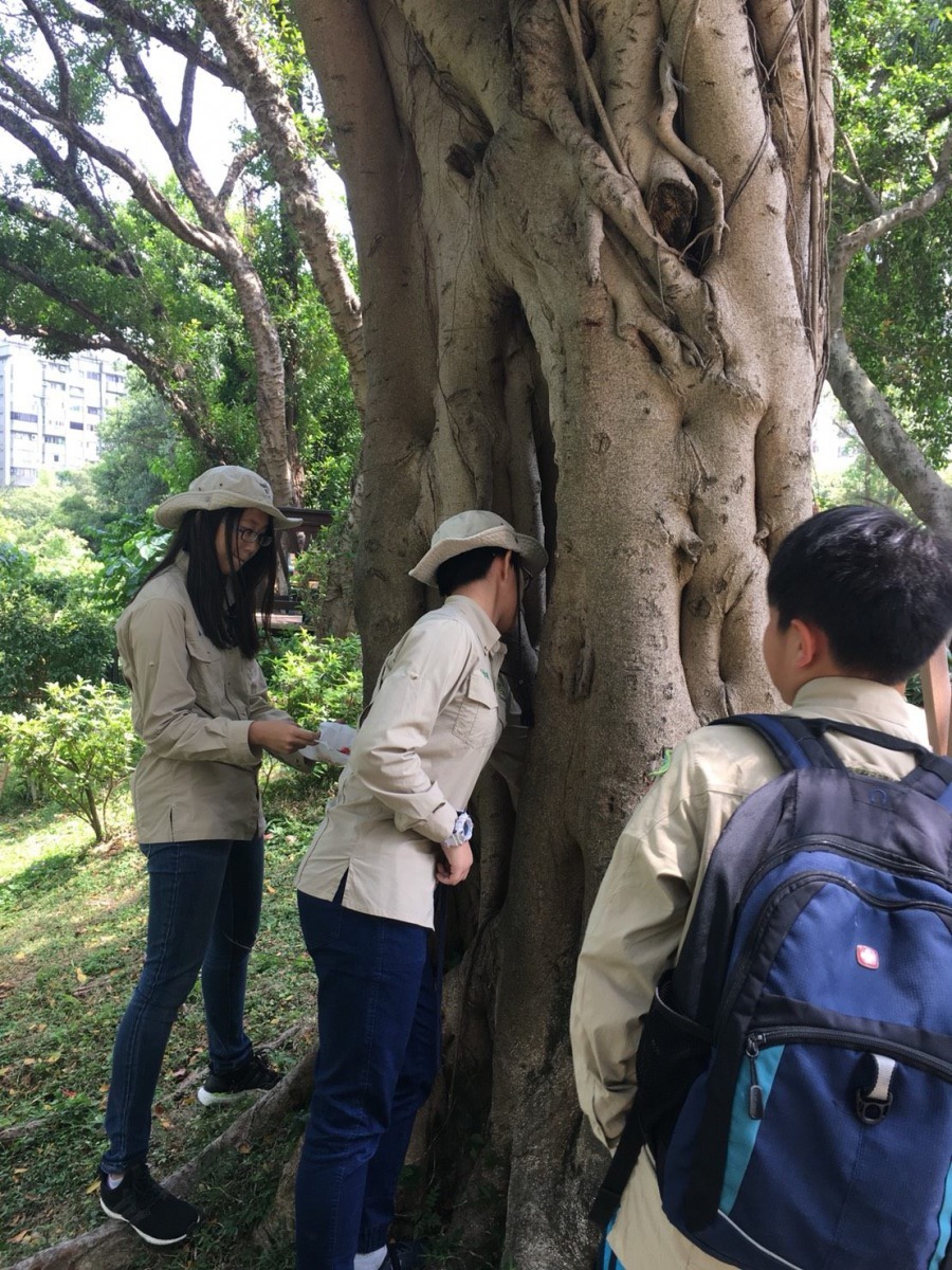 小鹿團員正在清除樹洞中被市民置放的雜物。台北市公園處/提供