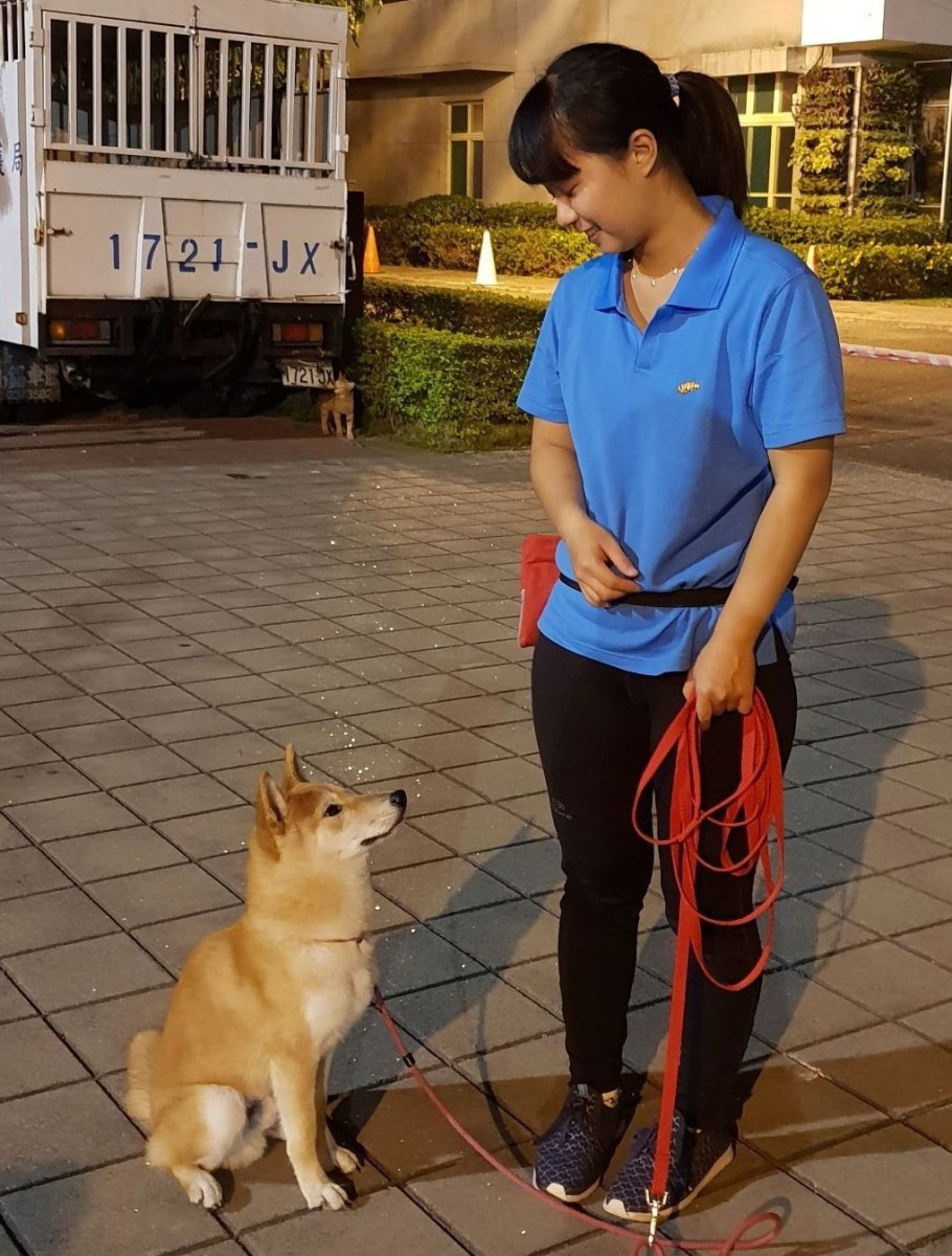 郭欣妮認為飼主除了呵護寵物，也要能滿足其運動及玩樂需求。高維奇／攝