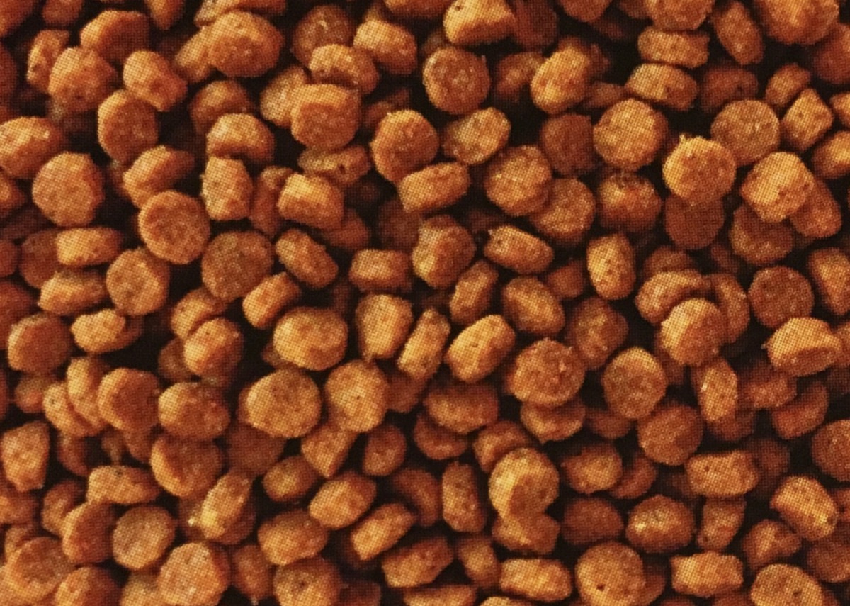 貓狗寵物食品的水活性通常是0.50-0.65,水活性超過0.65,食品將會發霉。林國維/提供