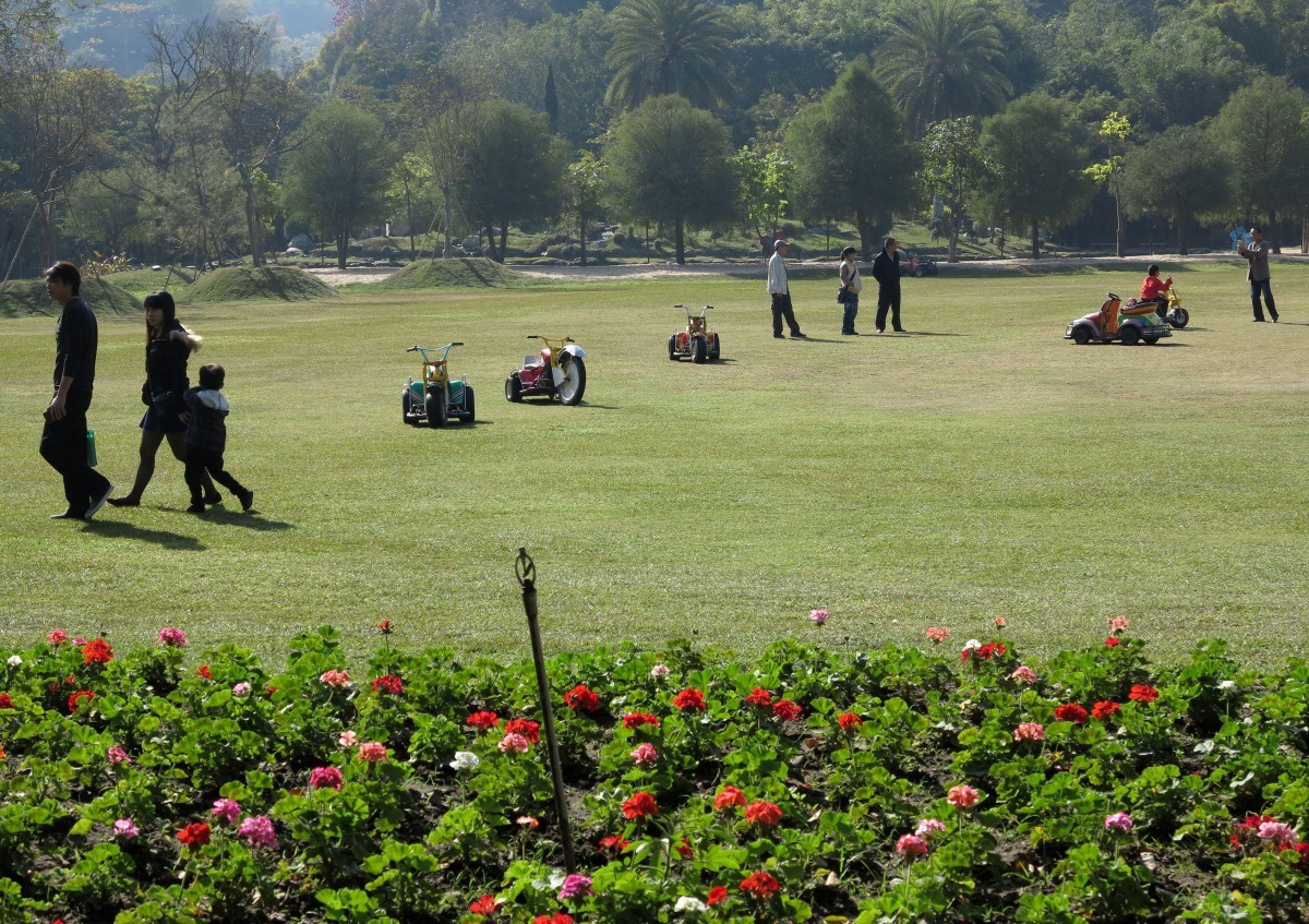 南元農場面積廣闊，花卉植栽多元，園區就是一座大花園。高維奇／攝