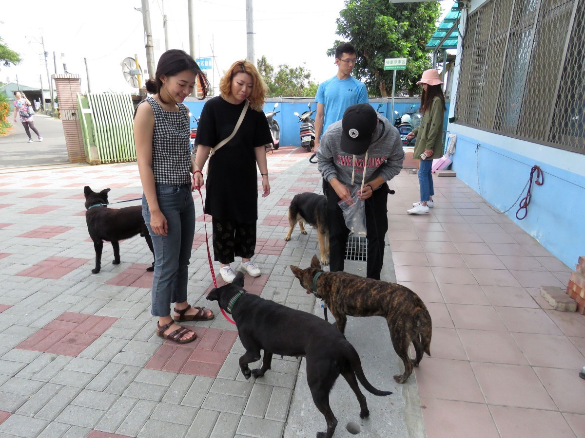 參加台南市動保處收容所「遛狗志工」的民眾。高維奇／攝