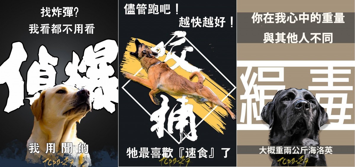 台中市警局設計的3款咬補、緝毒、偵爆海報。台中市警局提供 雨林/製圖