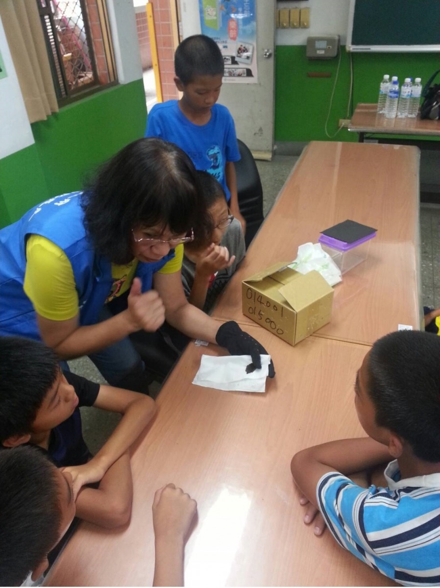 動保員陳巧凌示範如何照顧拾獲的幼蝠。新北市動保處/提供