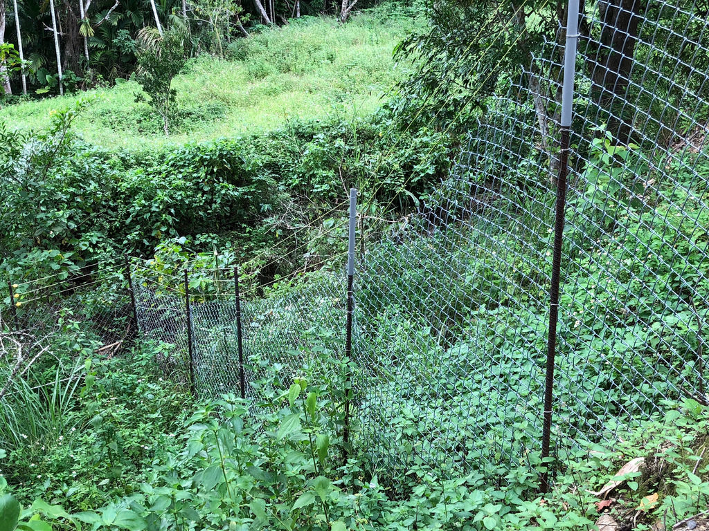 電圍網。資料照片，廖靜蕙攝。