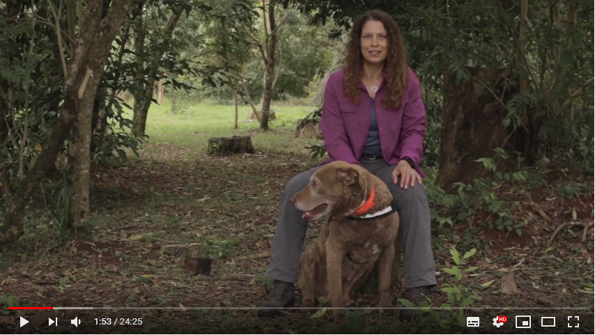 小火車與德瑪托配合多年,一人一狗走遍阿根廷和美國。 Photo: Testimonios - de los cuatro v