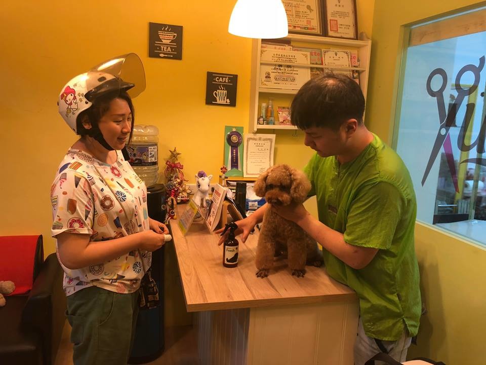 把毛孩剔太短《短於3MM》不能真的達到散熱功能，外出還會增加陽光直射、蚊蟲叮咬等風險。梁憶萍/提供