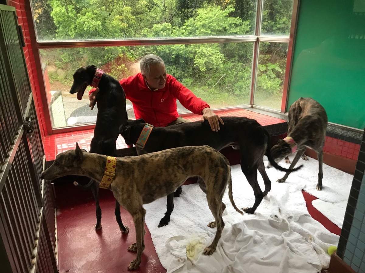 澳門愛協主席Albano Martins強調會阻止任格力犬被送往內地。（澳門愛協提供）