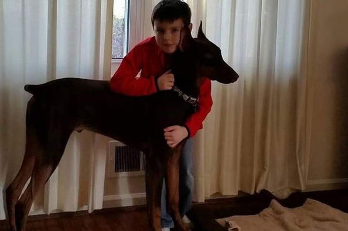 Copper與小主人感情深厚，情同手足。（GoFundMe@JenniferJayne）