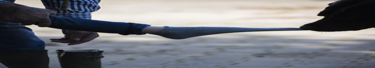 在德國，一隻服務犬正在展示如何幫一名孩童脫襪子。 Photo: U.S. Air Force