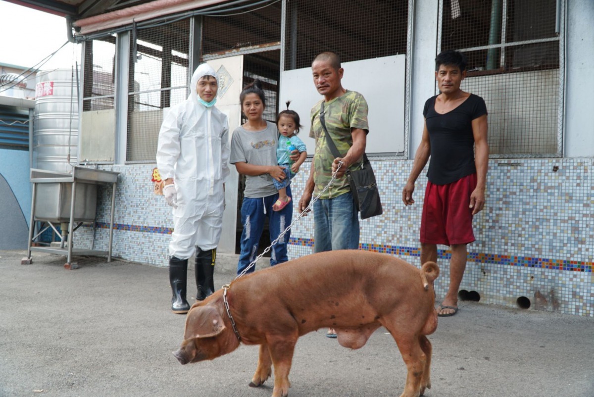 飼主蘇先生得知「小支支」在板橋動物之家，開心前來領回。劉凱/翻攝