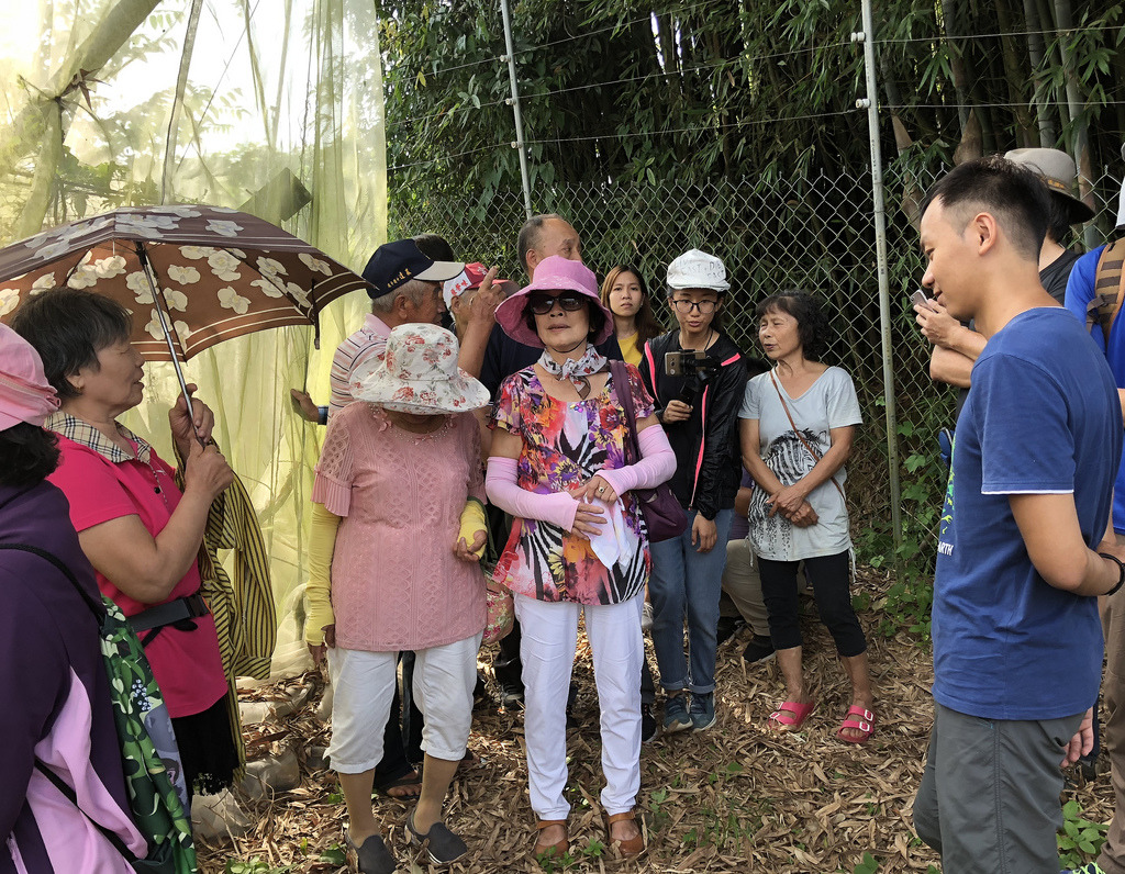 林內農民到埔里大坪頂徐松山的果園觀摩電牧器圍網,期能找出與獼猴共存之道。攝影:廖靜蕙