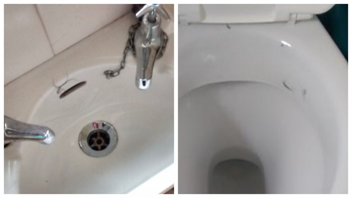 洗手盆與馬桶有大量貓毛,相信貓咪曾痛苦掙扎過。(SWNS)