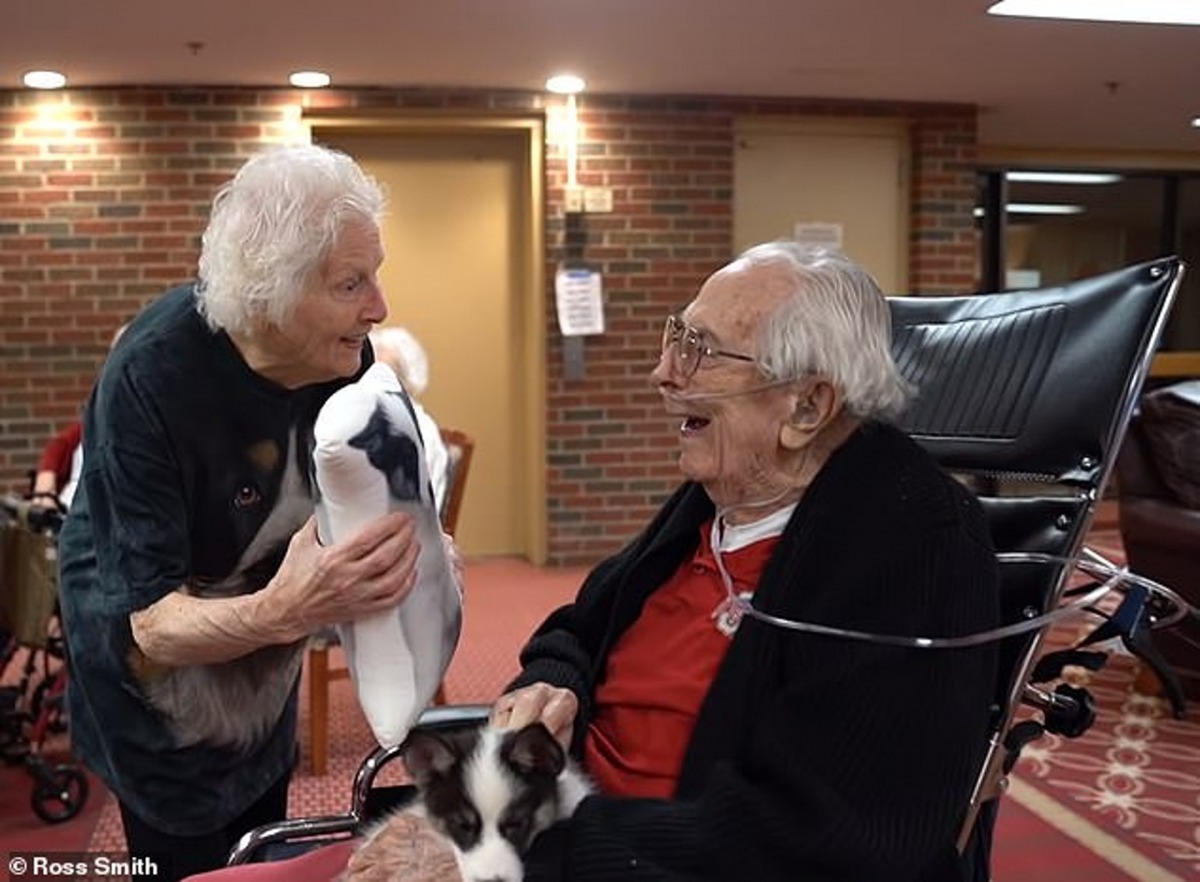 祖母Pauline與孫子特意訂製了狗狗枕頭送給一眾公公婆婆。（Ross Smith）