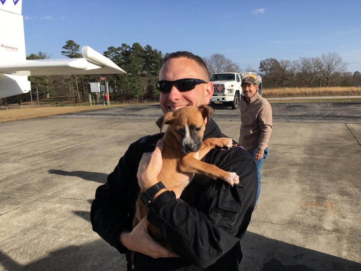 行動拯救了13隻狗狗。(PAART)