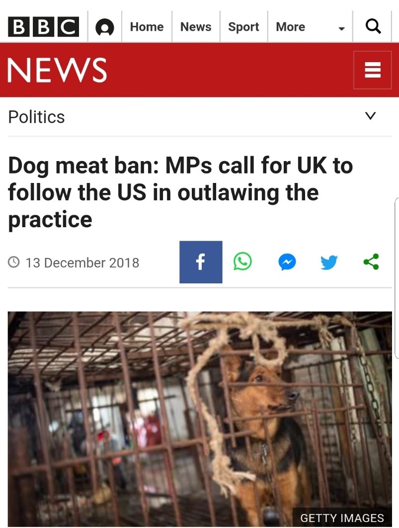 英國廣播網BBC搶先報導,英國國會議員要求跟進美國立法禁食狗肉。取自BBC
