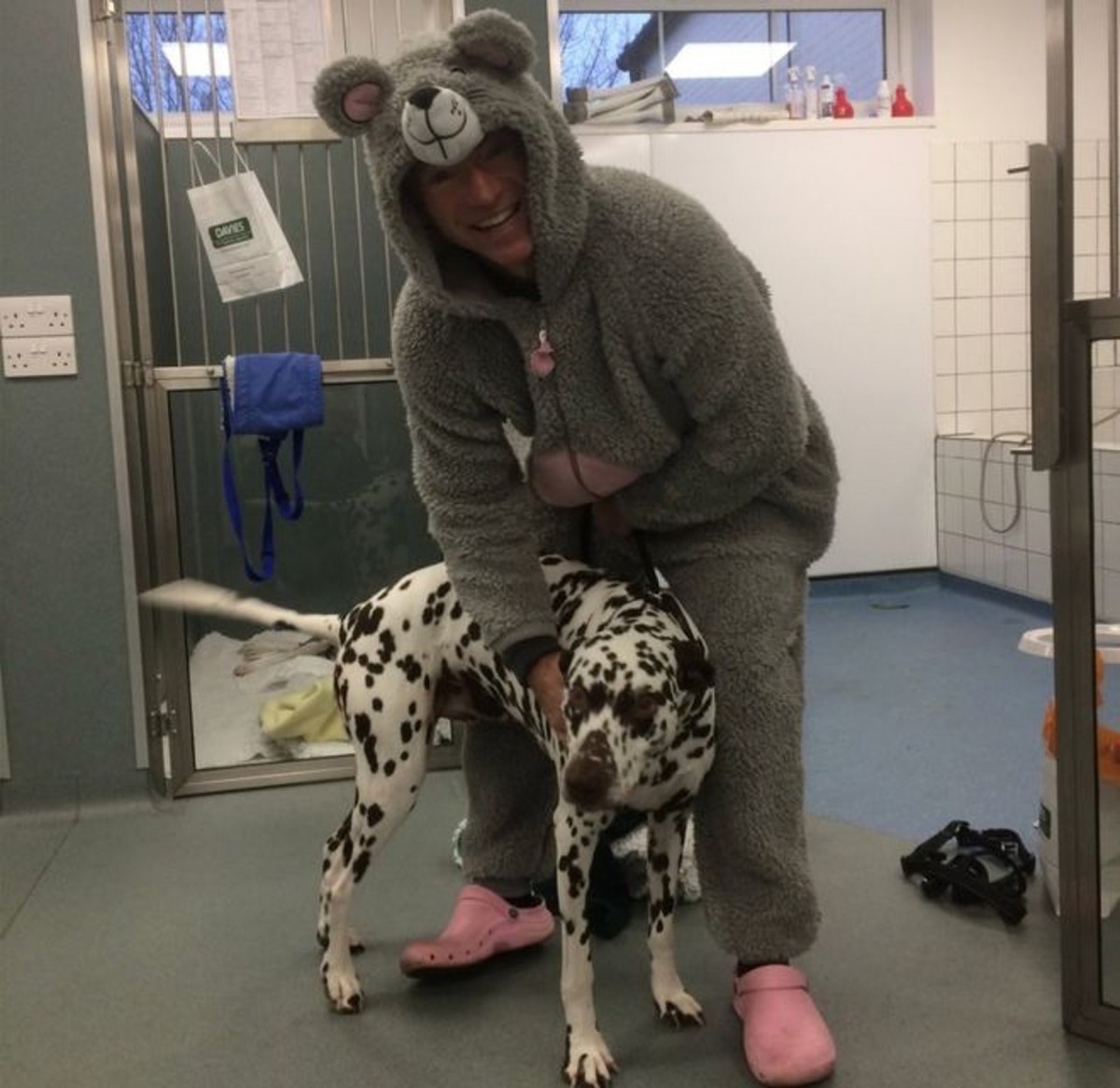 在穿上灰鼠衣服前,狗狗狂吠他,不讓他靠近。(Facebook圖片:Davies Veterinary Specialists)