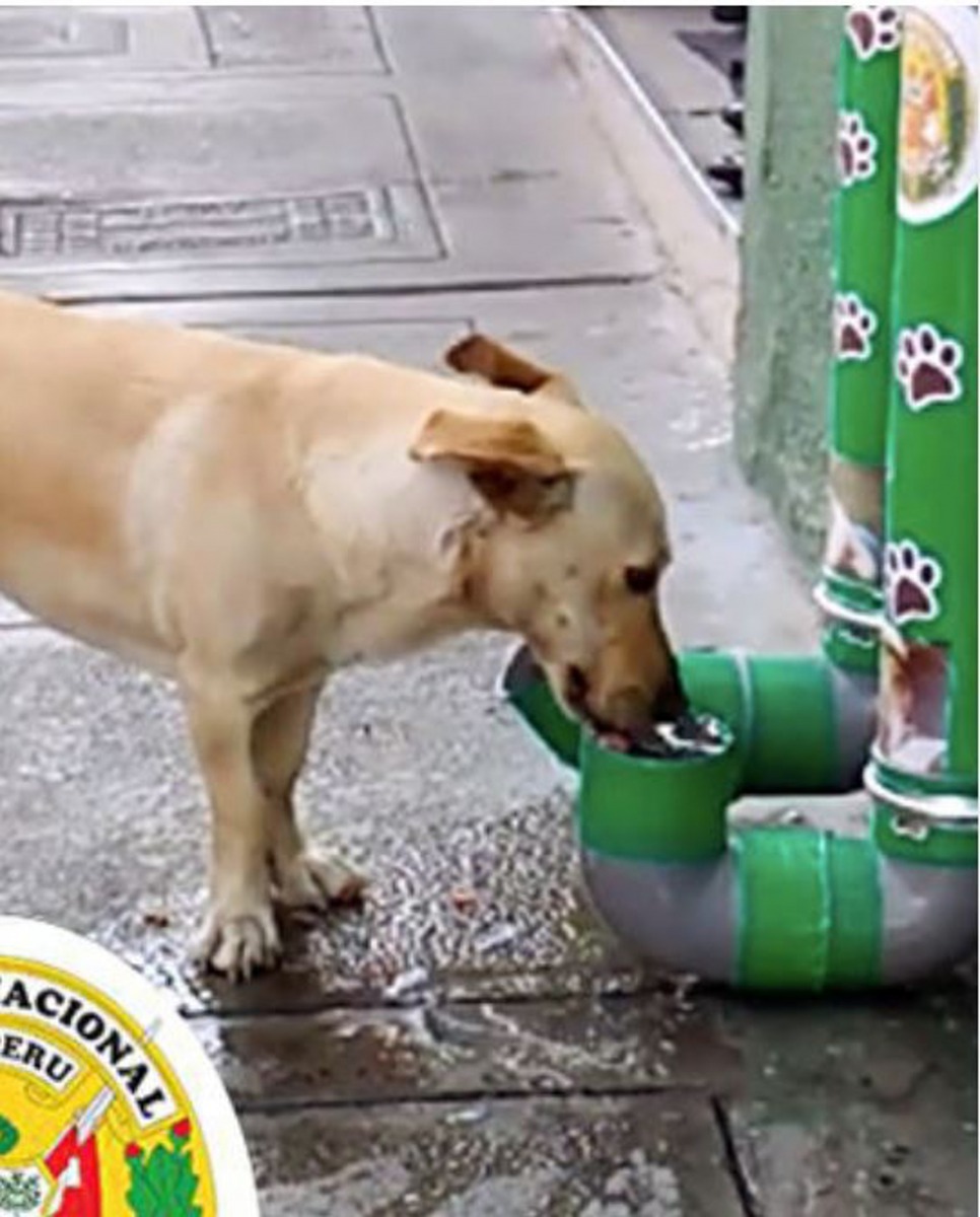 不少網民得悉當地警方的善舉後都紛紛表示讚賞！（影片截圖）