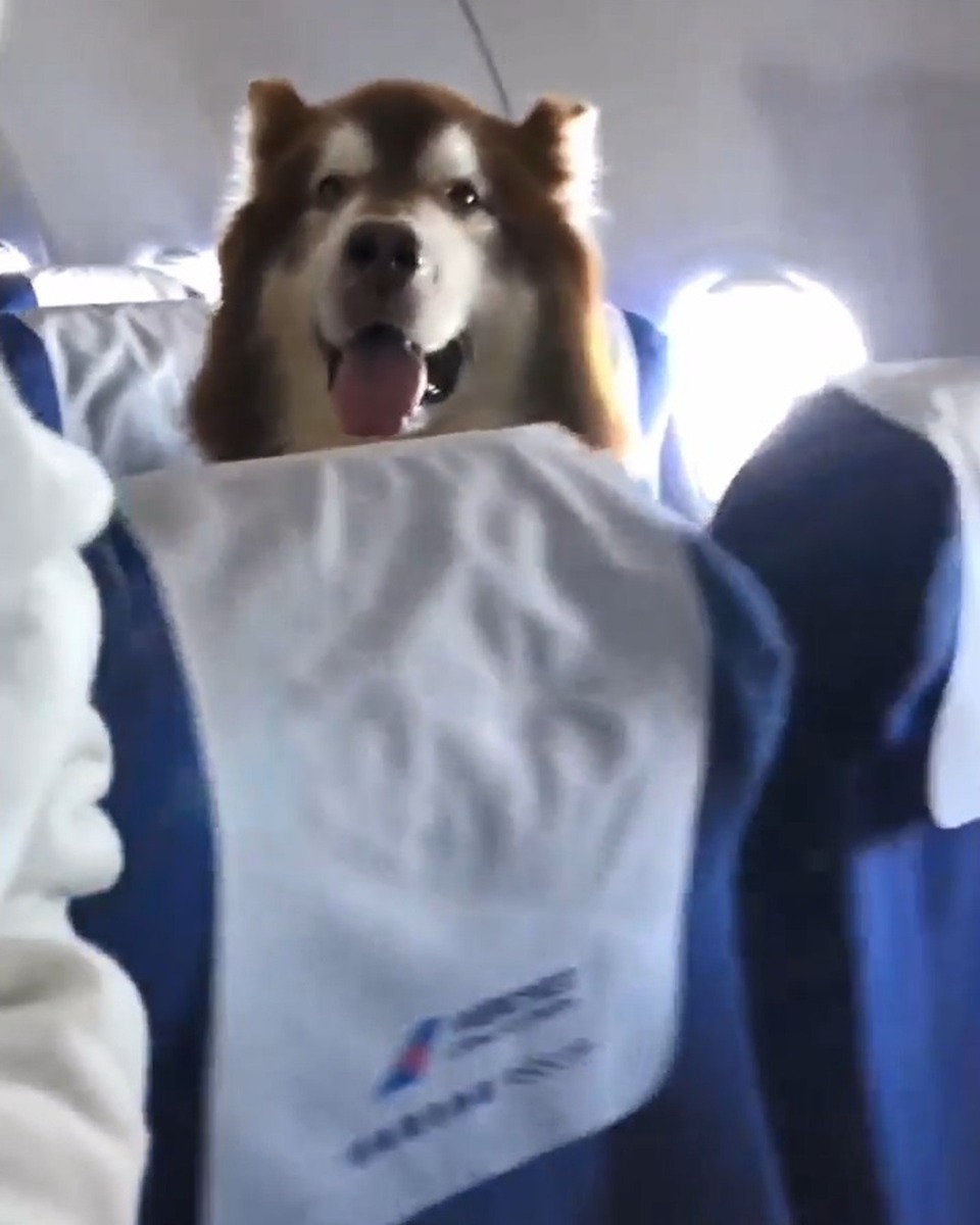 可愛的笑容，令旅程增添了不少樂趣。（Massimo Ceccarelli@facebook）