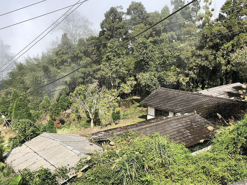 阿里山石桌的里山地景。攝影:廖靜蕙