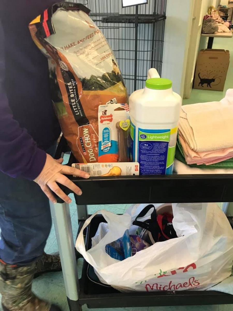 當職員打開袋子時發現，小女孩竟帶來了狗狗飼料、玩具、衣服、狗繩、毛巾等，縱使「禮物」的數量並不多，但小女孩那顆純潔的善心卻令義工們感動不已！（FB@Burlington Animal Services）