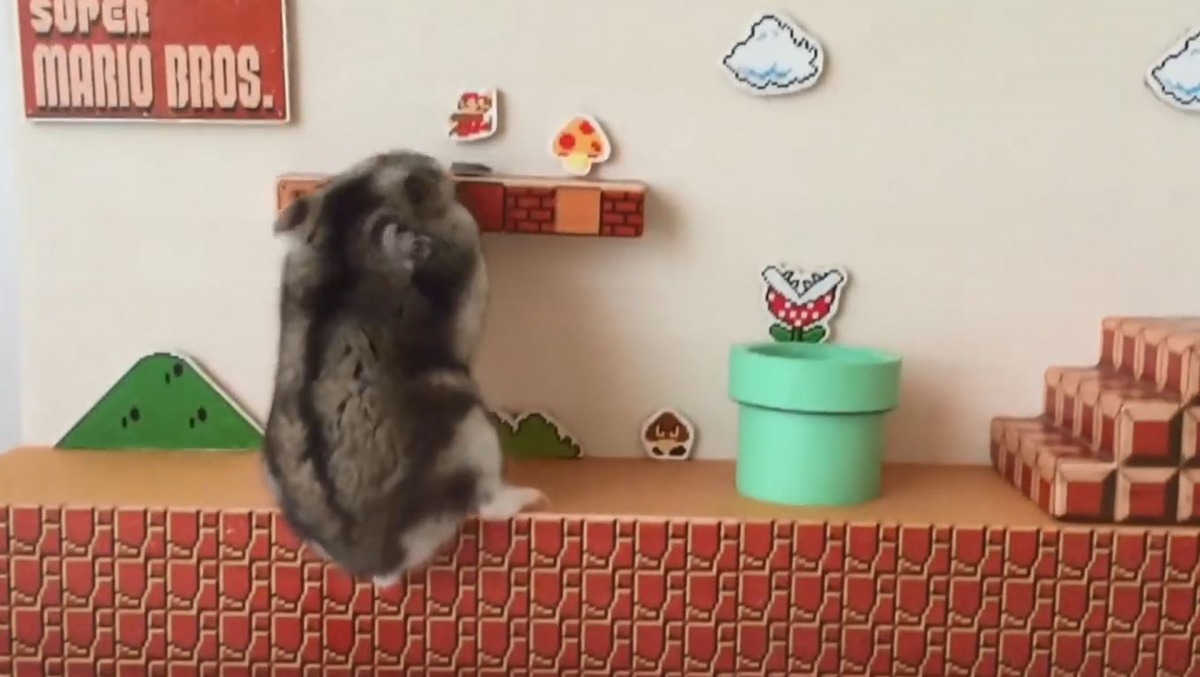 倉鼠Hamumu在「Super Mario」場景中闖關。（Youtube@yutako55）