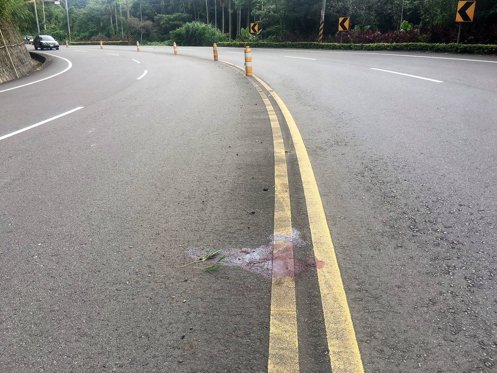 苗栗石虎保育自治條例草案今年再次闖關,能否踏出保育與發展和解共存的第一步?全國拭目以待。(資料照,照片提供.:陳翊綾、范穀)